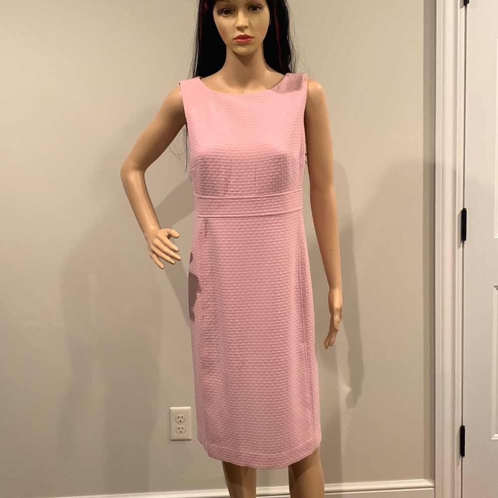 NWT Ann Taylor Soft Pink Dress size 4